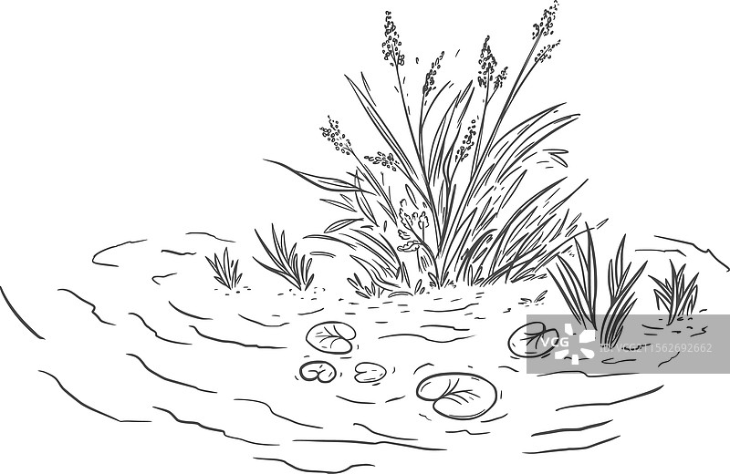 河流场景素描，池塘植物线条画图片素材