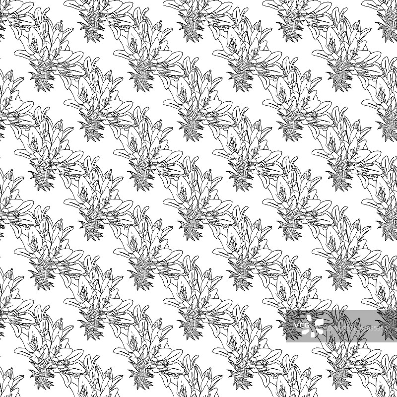 百合花图案 220125-30图片素材