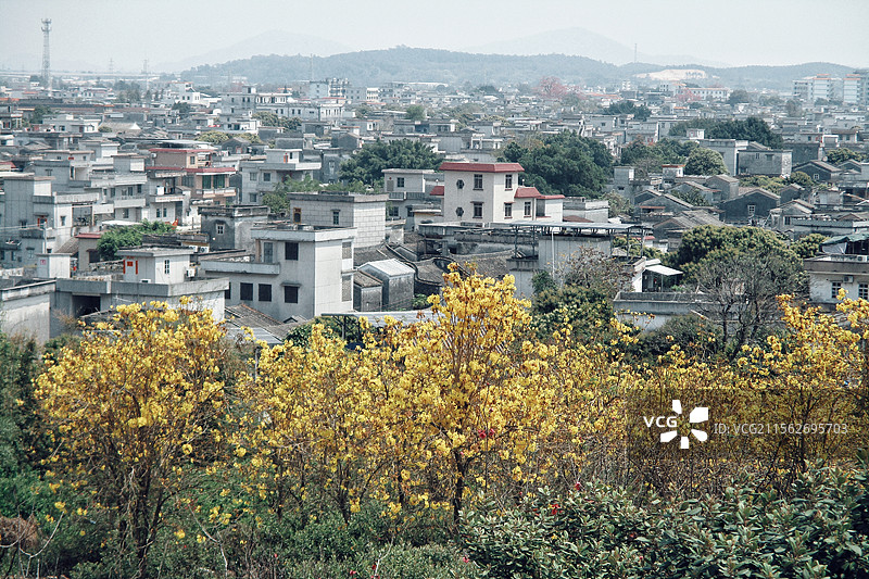 新会双水全貌图片素材