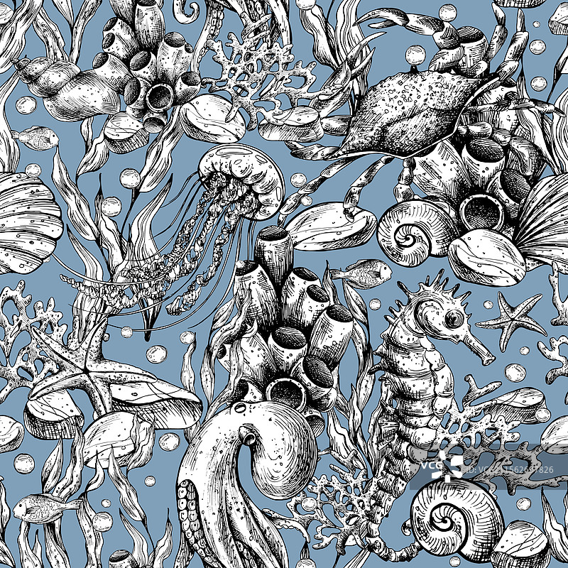 海洋动物鲸鱼的水下世界剪贴画图片素材