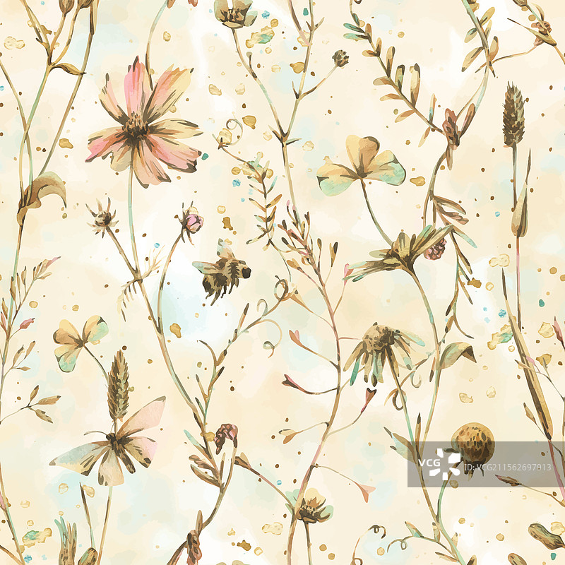 田野草地上的野花和草本植物，宇宙花图片素材