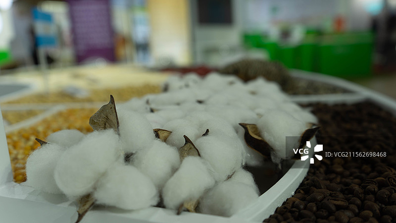 一瞬留影图片素材