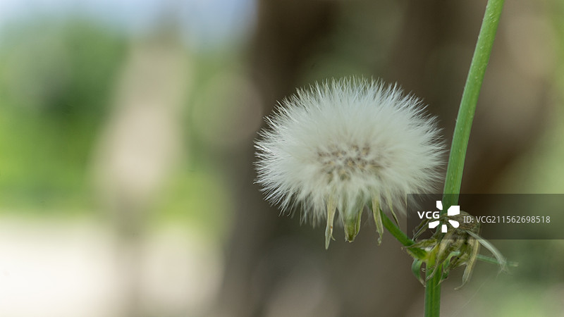 一瞬留影图片素材
