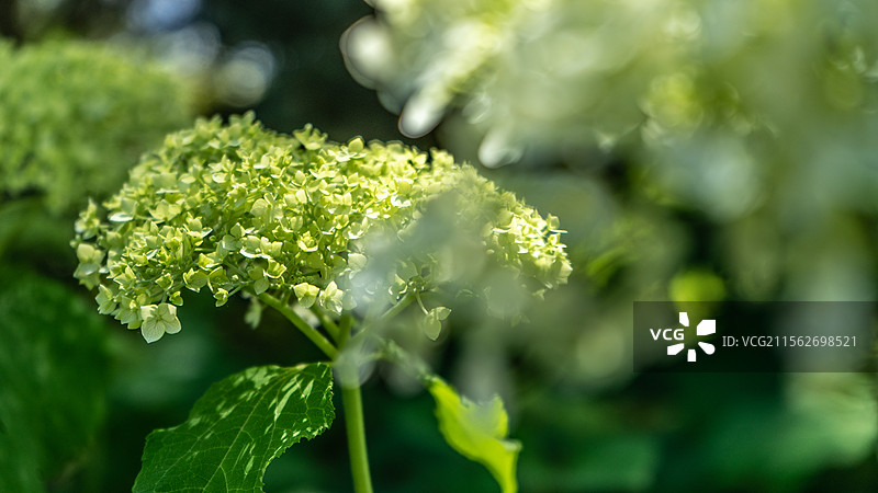 一瞬留影图片素材