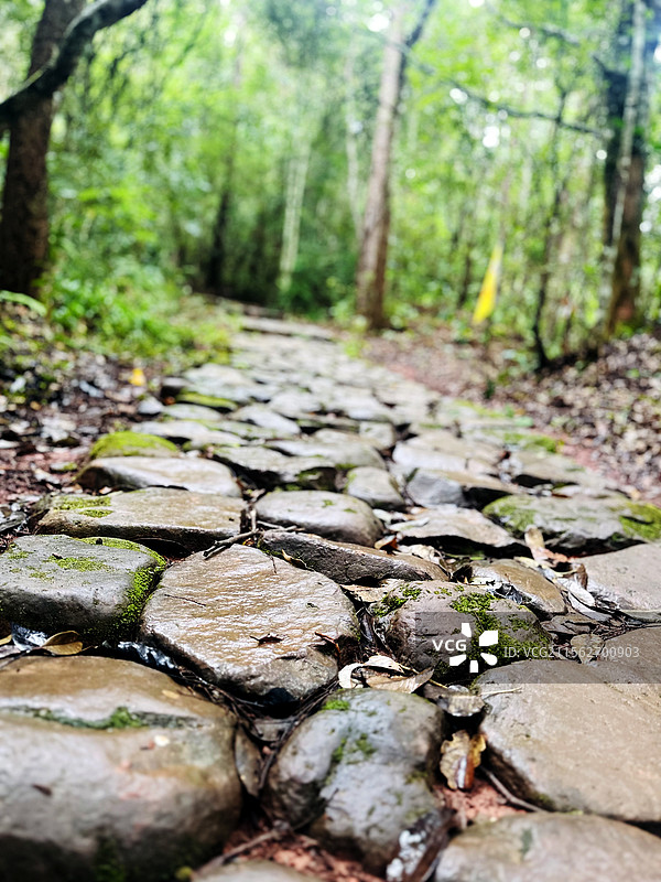 雨后，山中一条湿漉漉的石路小径图片素材