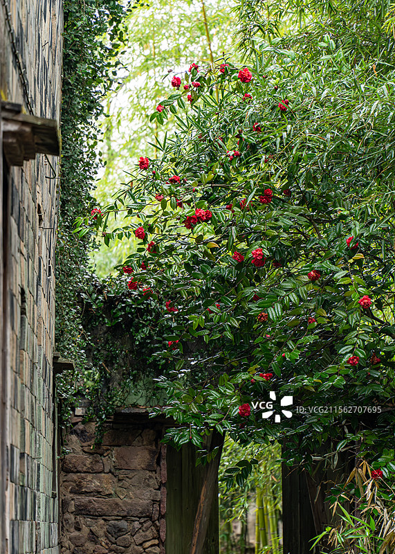 皤滩古镇风光图片素材