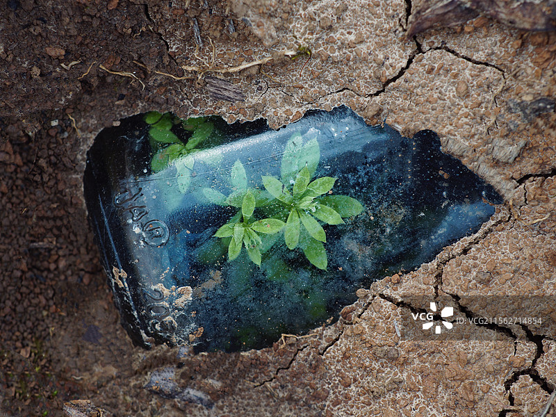 生命的力量图片素材