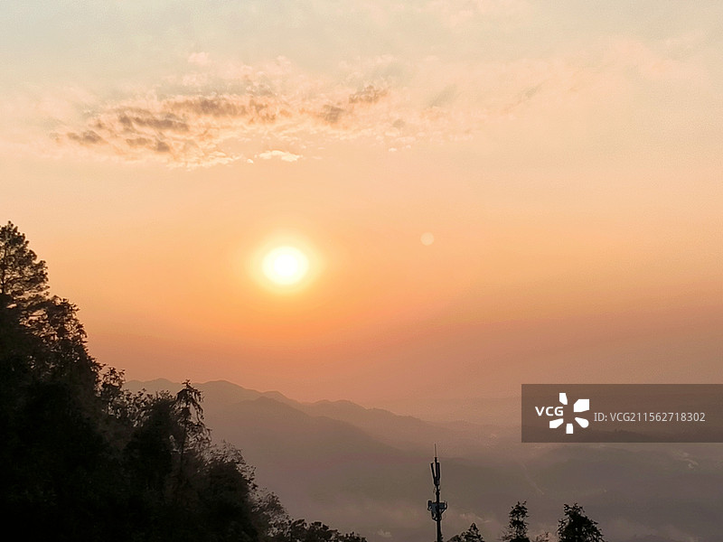 茶山竹海，夕阳晕染图片素材