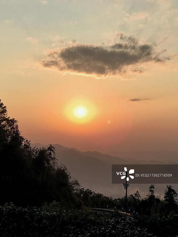 茶山竹海落日余晖图片素材