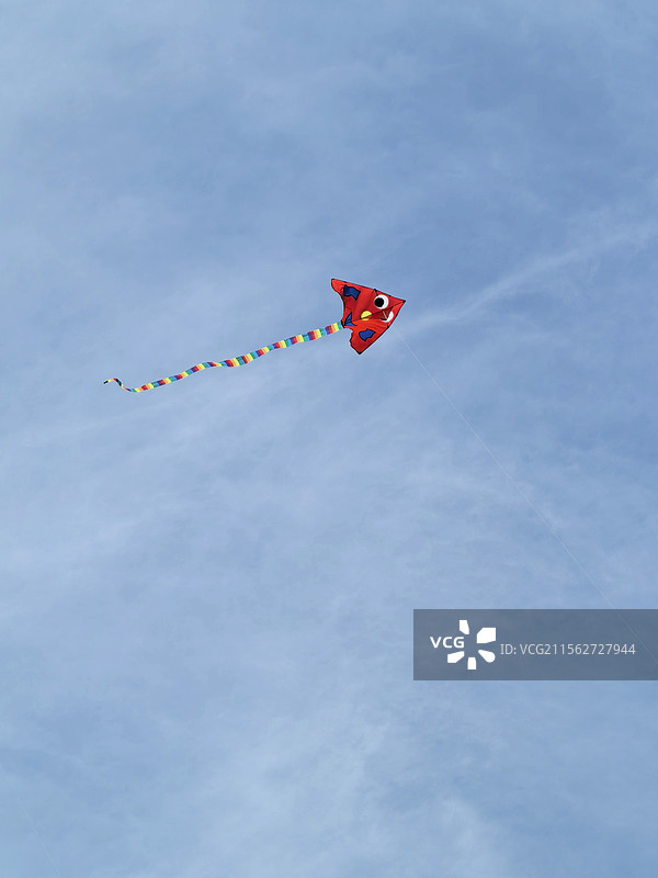 风舞鸢影图片素材