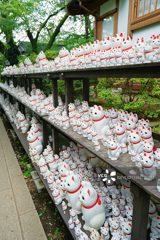 东京都世田谷区豪德寺，招财猫寺庙！图片素材