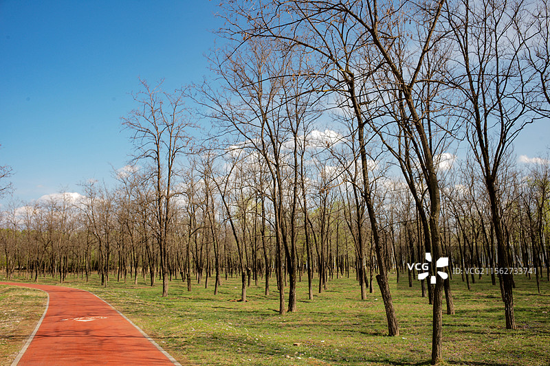 郊野公园健身步道图片素材