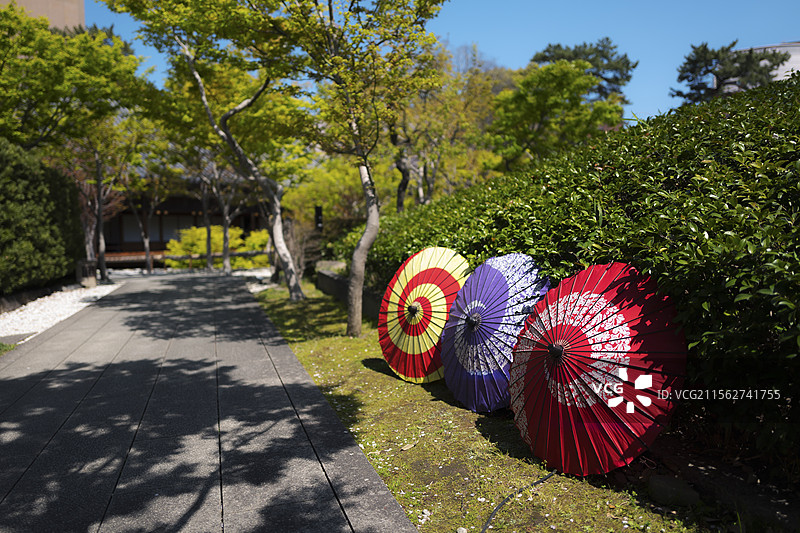 日本樱花季图片素材