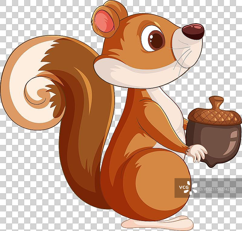 一只可爱的松鼠和橡果图片素材