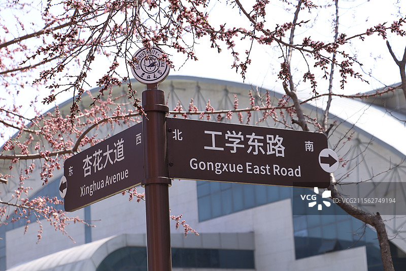 吉林大学杏花节图片素材