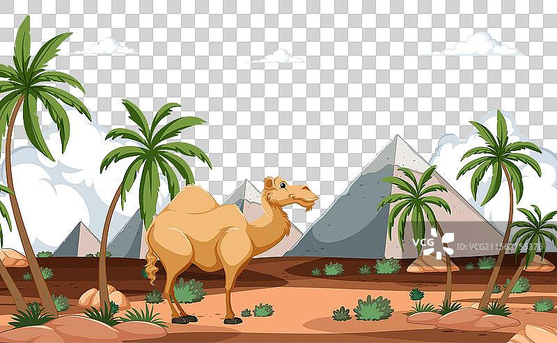 骆驼在沙漠中站立，背景是金字塔和棕榈树。图片素材
