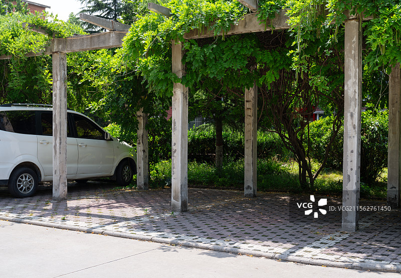 公园里树荫下的停车位图片素材