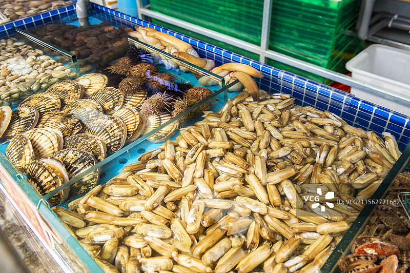 海鲜类虾怪黄蚬子东港飞蟹生蚝扇贝虾爬子图片素材