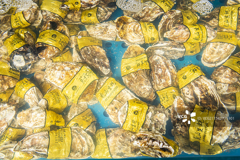 海鲜类虾怪黄蚬子东港飞蟹生蚝扇贝虾爬子图片素材