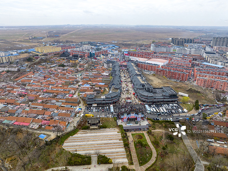 丹东东港大孤山杏花节孤山杏花图片素材