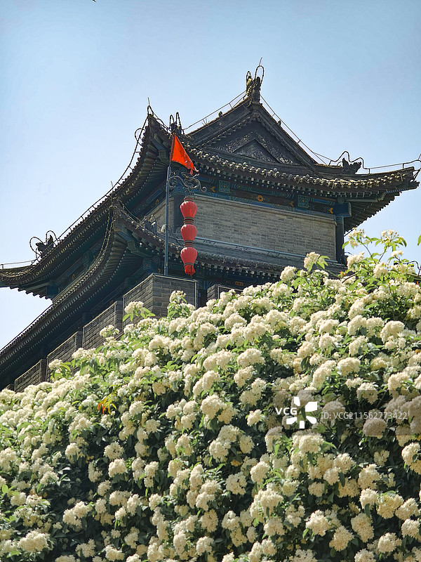 西安城墙花境图片素材