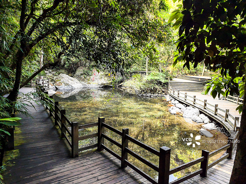 五指山热带雨林国家公园内的仙女潭景点图片素材