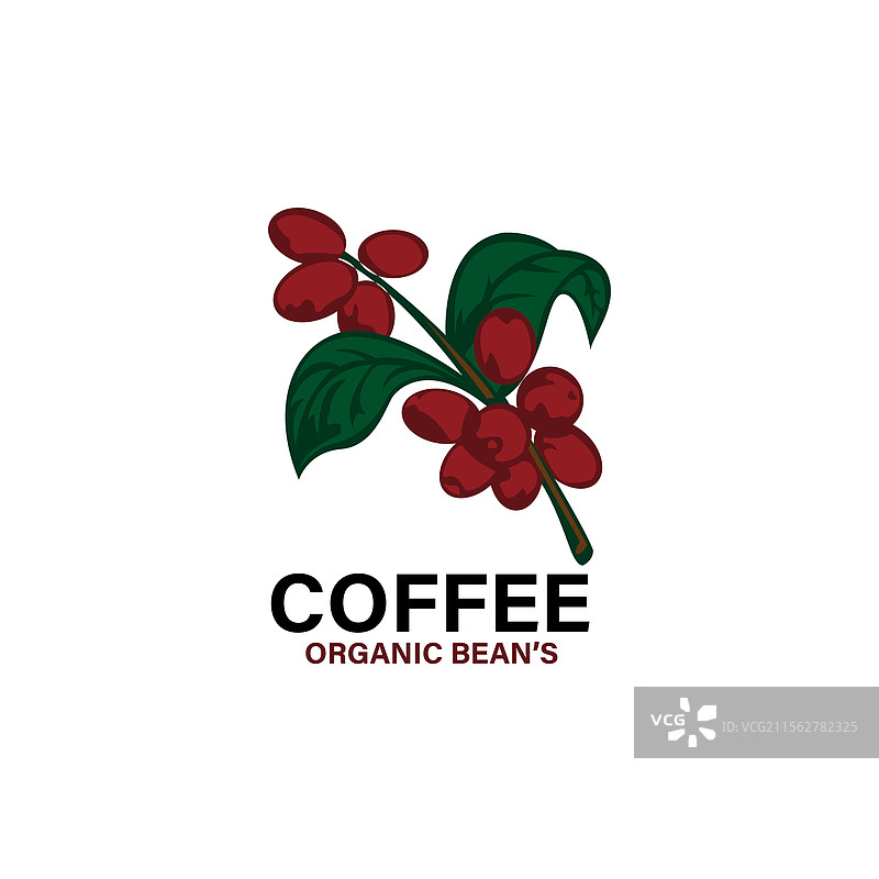 树枝上的红豆图片素材