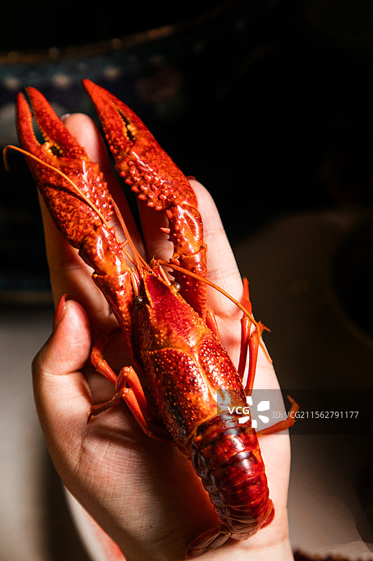 小龙虾香辣小龙虾咸蛋黄小龙虾冰镇虾蒜香小龙虾十三香小龙虾酒醉虾虾肉撸虾虾黄虾仁虾肉夜宵大排档图片素材