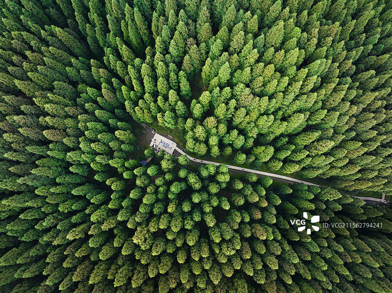 彭州中坝森林公园 龙溪虹口国家级自然保护区图片素材