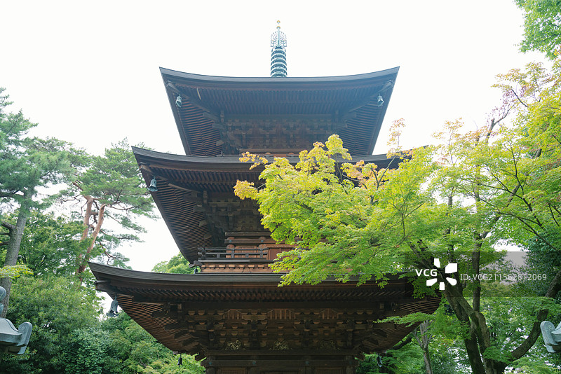 东京都世田谷区豪德寺，招财猫寺庙！图片素材