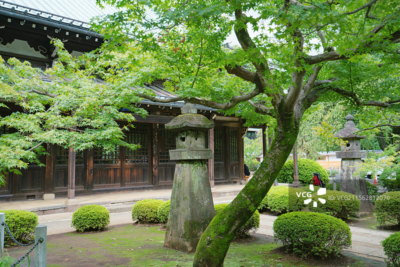 东京都世田谷区豪德寺，招财猫寺庙！图片素材