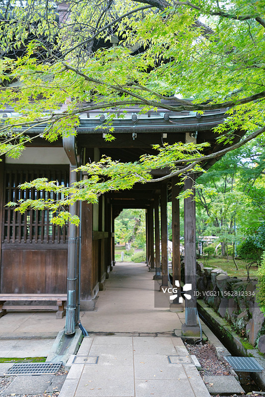 东京都世田谷区豪德寺，招财猫寺庙！图片素材
