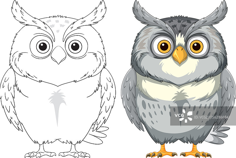 详细的猫头鹰，包含轮廓和上色部分图片素材