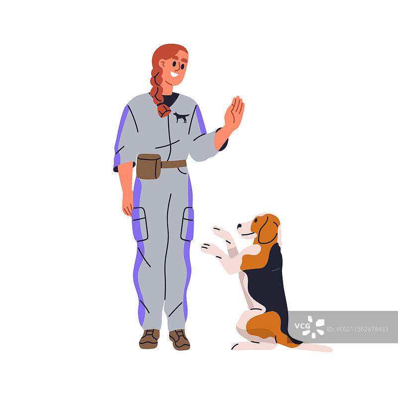 狗在训练中用后腿站立图片素材