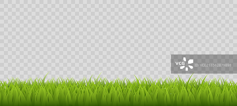 透明背景上的真实绿草图片素材