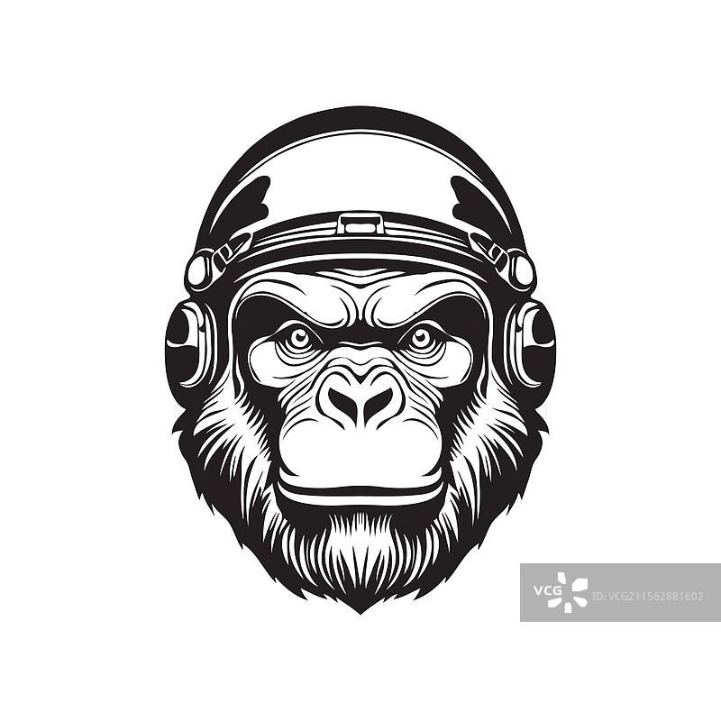 太空猴子图片素材