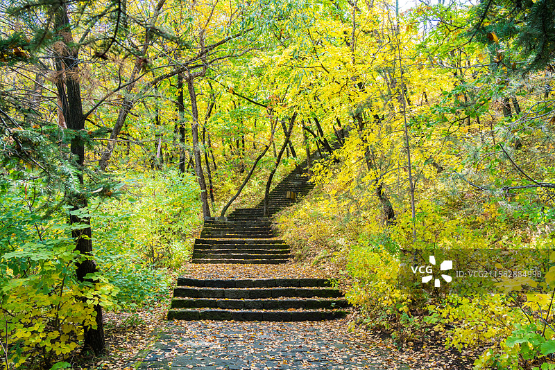 秋天登山台阶路图片素材