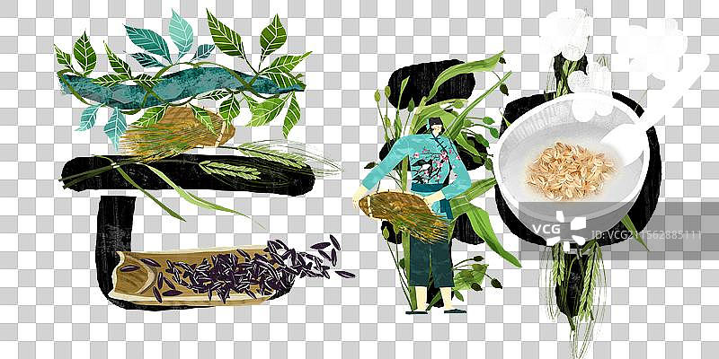 二十四节气字体芒种插画元素图片素材