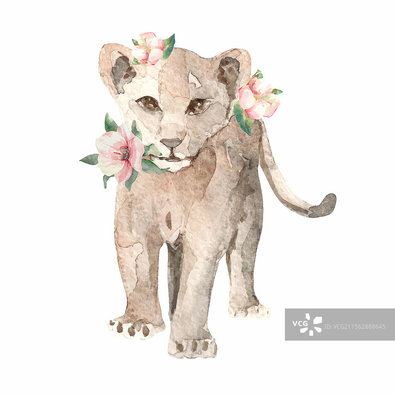 水彩狮子动物宝宝无缝图案图片素材