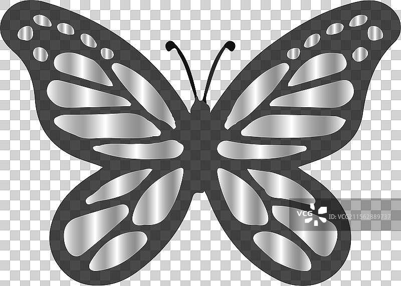 黑白蝴蝶图片素材