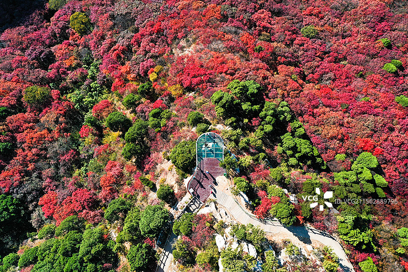 潍坊临朐石门坊红叶谷图片素材