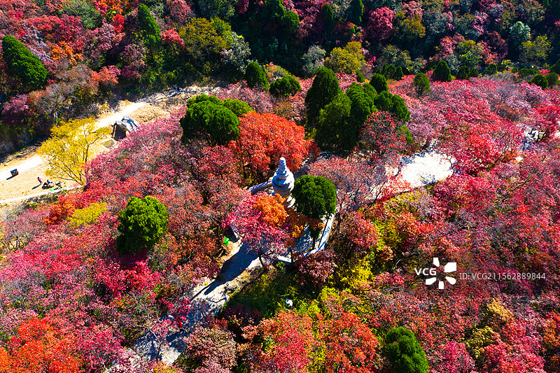 潍坊临朐石门坊红叶谷图片素材