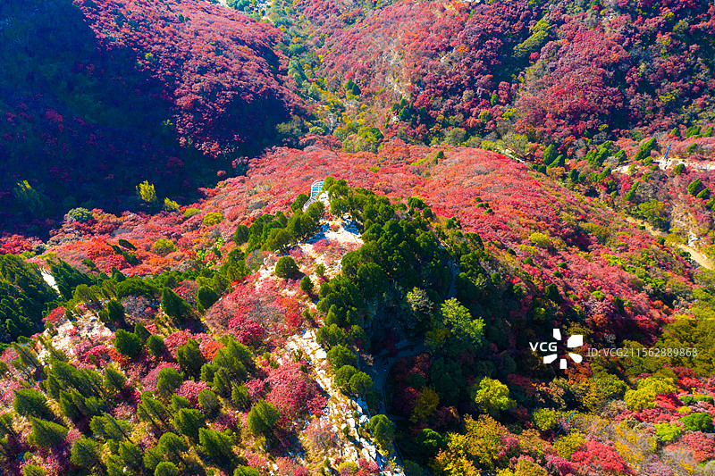 潍坊临朐石门坊红叶谷图片素材