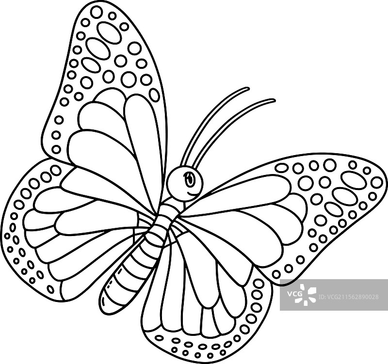 蓝色摩尔福蝴蝶动物孤立图像图片素材