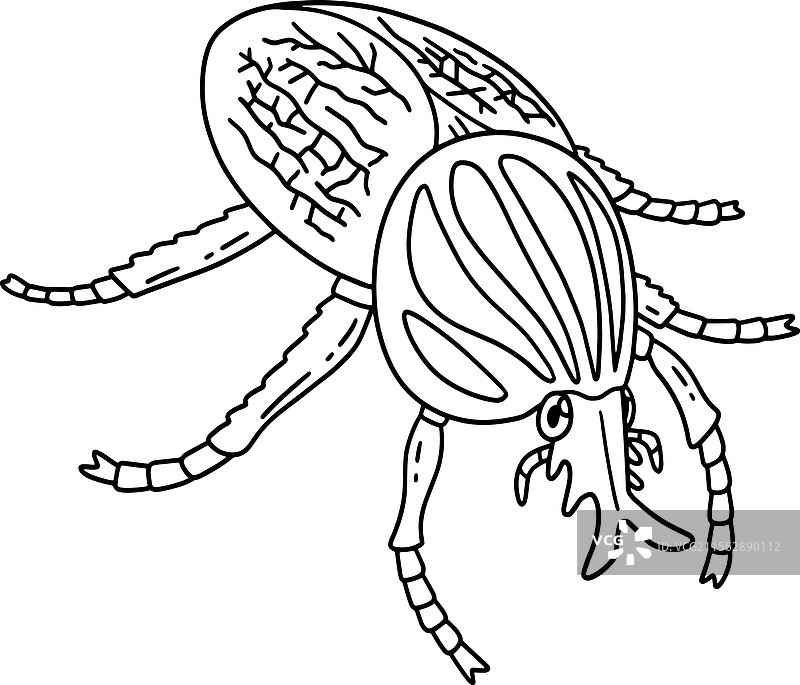 孤立的巨型甲虫涂色页图片素材