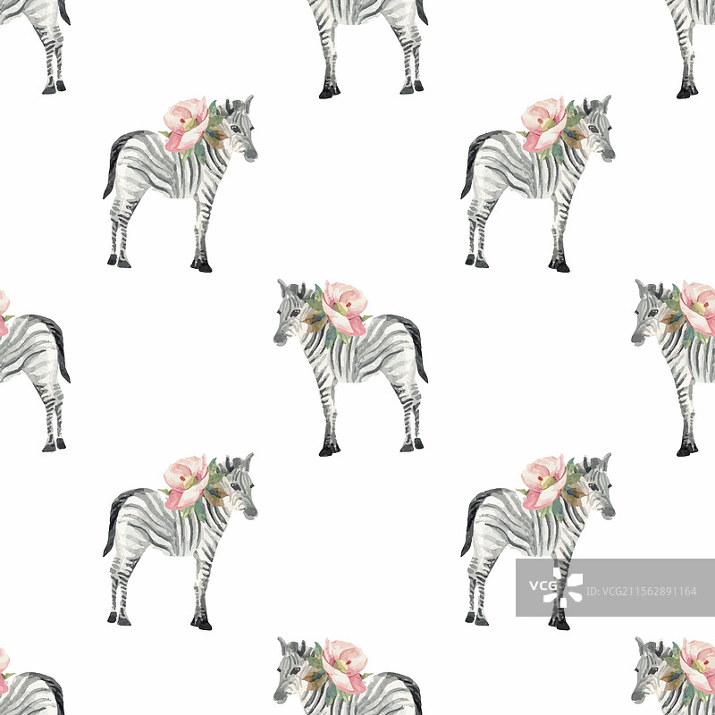 水彩斑马动物宝宝无缝图案图片素材