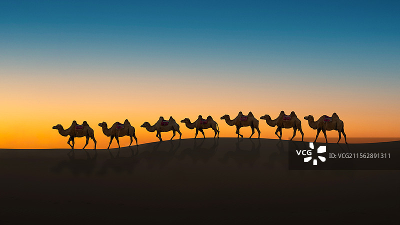 夕阳下沙漠骆驼队剪影图片素材