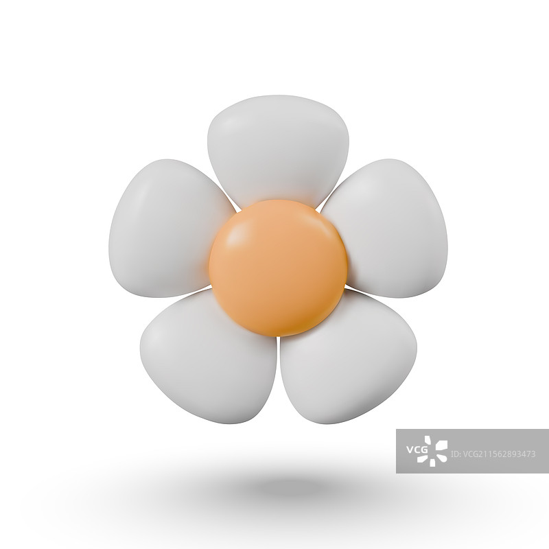 白色背景上的3D雏菊花图片素材