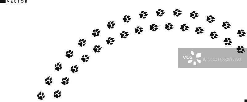 狐狸爪印 野生动物足迹图片素材