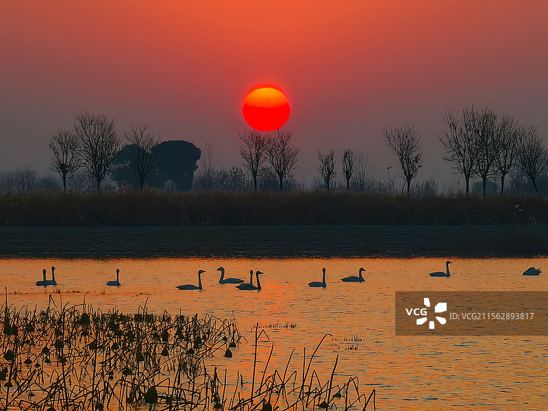 中国安徽省合肥市肥东县十八联圩湿地旭日东升图片素材